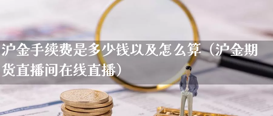 沪金手续费是多少钱以及怎么算（沪金期货直播间在线直播）_https://www.zjdexue.com_原油期货_第1张