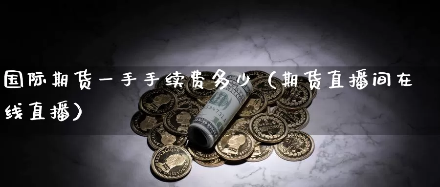 国际期货一手手续费多少（期货直播间在线直播）_https://www.zjdexue.com_基金理财_第1张