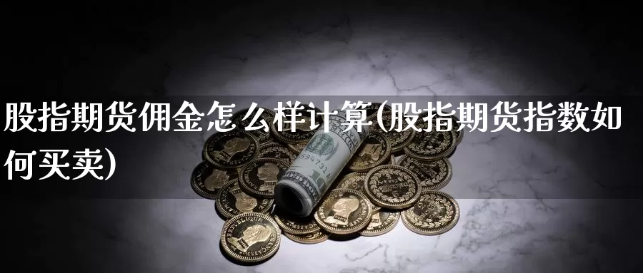 股指期货佣金怎么样计算(股指期货指数如何买卖)_https://www.zjdexue.com_股票投资_第1张