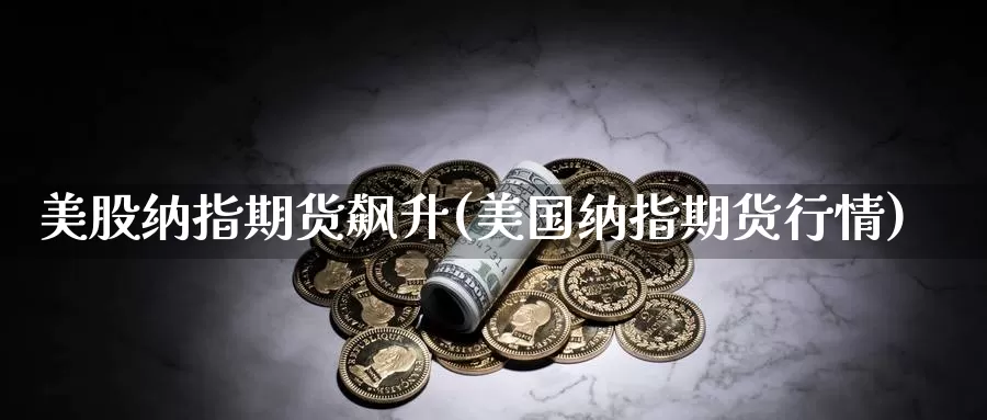 美股纳指期货飙升(美国纳指期货行情)_https://www.zjdexue.com_股票投资_第1张