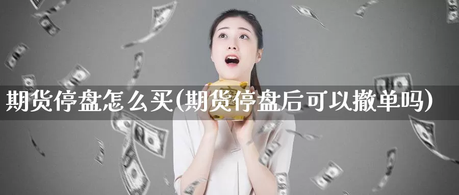 期货停盘怎么买(期货停盘后可以撤单吗)_https://www.zjdexue.com_原油期货_第1张