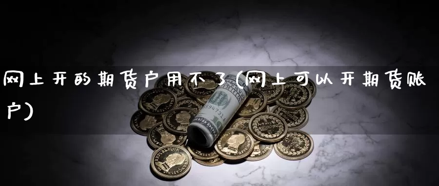 网上开的期货户用不了(网上可以开期货账户)_https://www.zjdexue.com_农产品期货_第1张