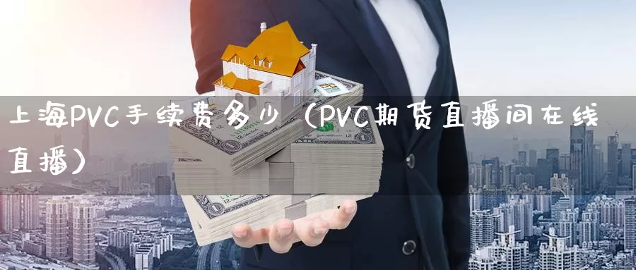 上海PVC手续费多少（PVC期货直播间在线直播）_https://www.zjdexue.com_期货百科_第1张