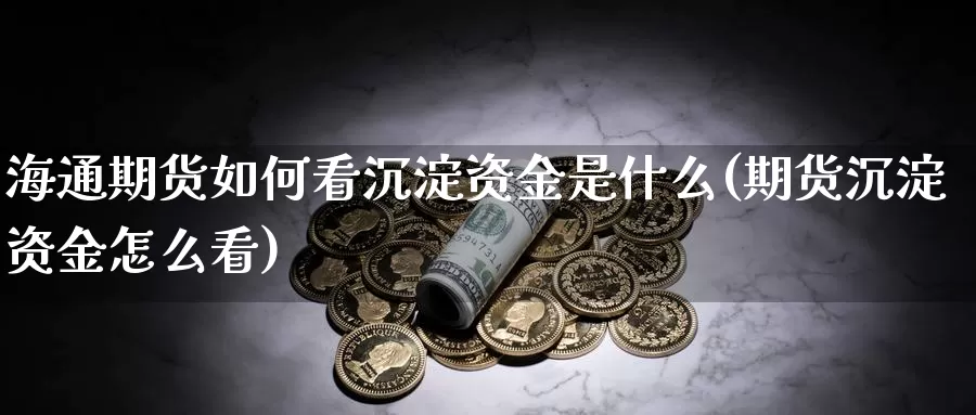 海通期货如何看沉淀资金是什么(期货沉淀资金怎么看)_https://www.zjdexue.com_农产品期货_第1张