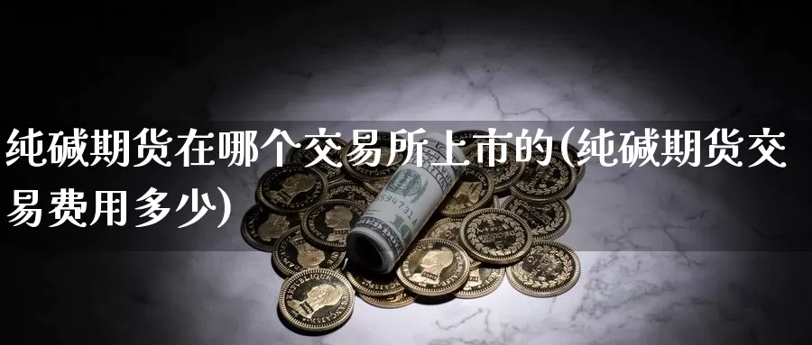 纯碱期货在哪个交易所上市的(纯碱期货交易费用多少)_https://www.zjdexue.com_黄金期货_第1张