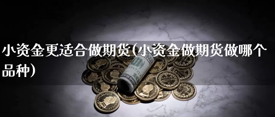 小资金更适合做期货(小资金做期货做哪个品种)_https://www.zjdexue.com_原油期货_第1张