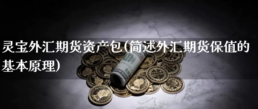 灵宝外汇期货资产包(简述外汇期货保值的基本原理)_https://www.zjdexue.com_期货百科_第1张