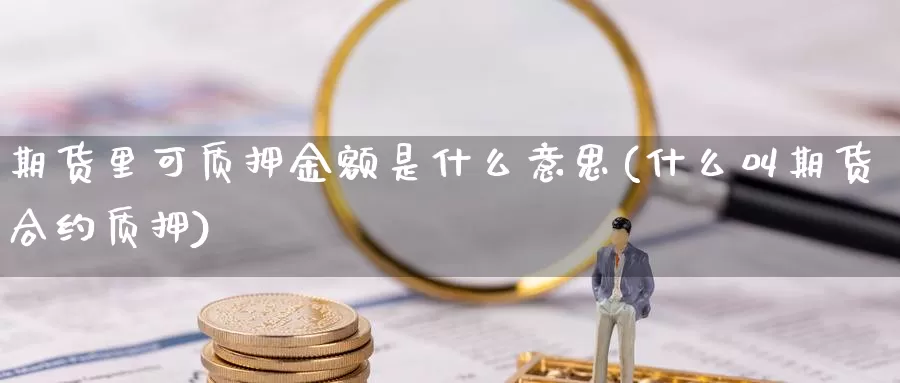 期货里可质押金额是什么意思(什么叫期货合约质押)_https://www.zjdexue.com_原油期货_第1张