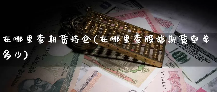 在哪里查期货持仓(在哪里查股指期货空单多少)_https://www.zjdexue.com_股票投资_第1张