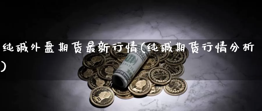 纯碱外盘期货最新行情(纯碱期货行情分析)_https://www.zjdexue.com_股指期货_第1张