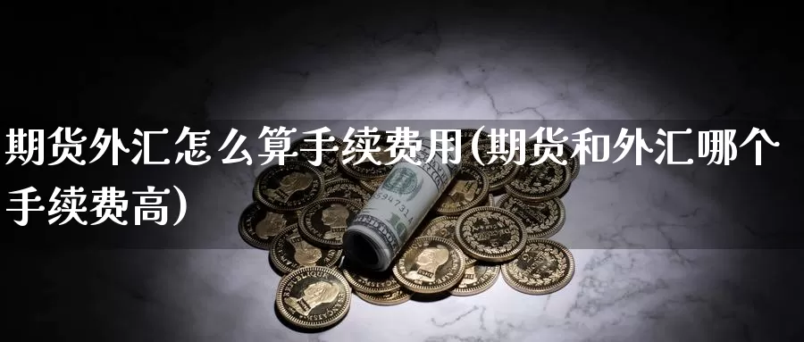 期货外汇怎么算手续费用(期货和外汇哪个手续费高)_https://www.zjdexue.com_股指期货_第1张