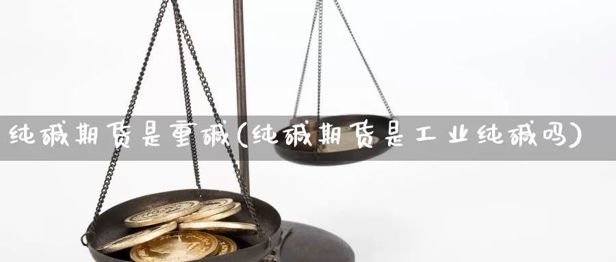 纯碱期货是重碱(纯碱期货是工业纯碱吗)_https://www.zjdexue.com_农产品期货_第1张