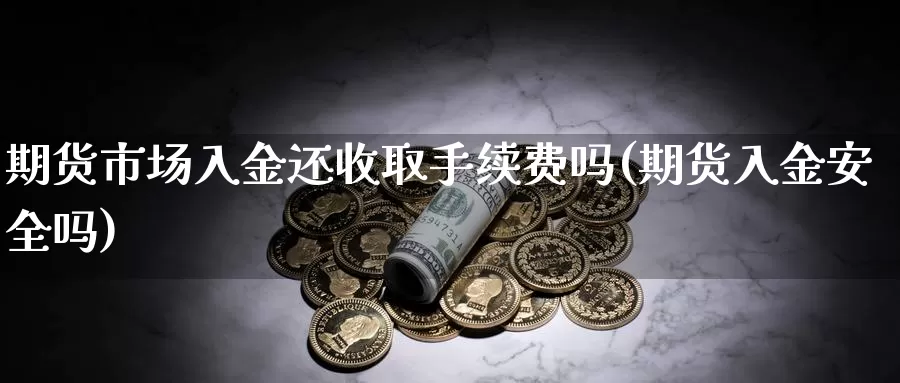 期货市场入金还收取手续费吗(期货入金安全吗)_https://www.zjdexue.com_黄金期货_第1张